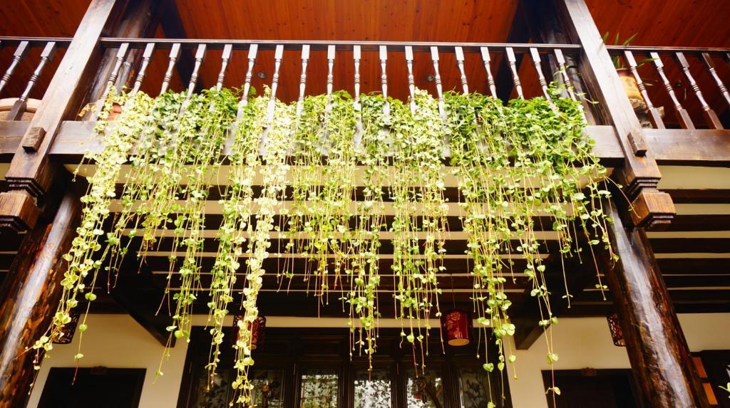 Lijiang Wangjia Courtyard Inn Eksteriør billede
